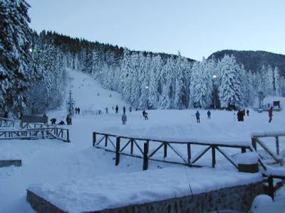 Studios-Villa Park Sv Borovets Exterior foto